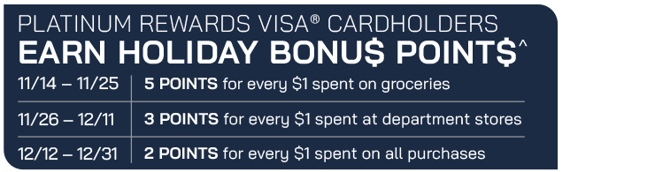VISA-Holiday-Platinum-Banner03.png